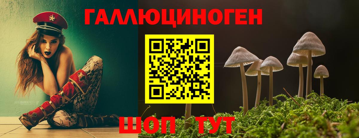 Галлюциногенные грибы Psilocybe  продажа наркотиков  Краснокаменск  Вход с VPN 
